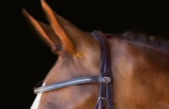 Schockemohle Copenhagen Classic Line Bridle Dark Brown-Silver -Equestrian Related 1100 00071 Copenhagen headpiece 2