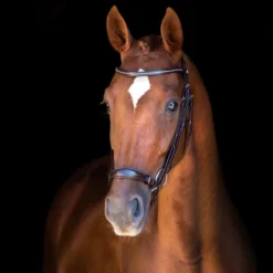 Schockemohle Copenhagen Classic Line Bridle Dark Brown-Silver -Equestrian Related 1100 00071 Copenhagen image 2