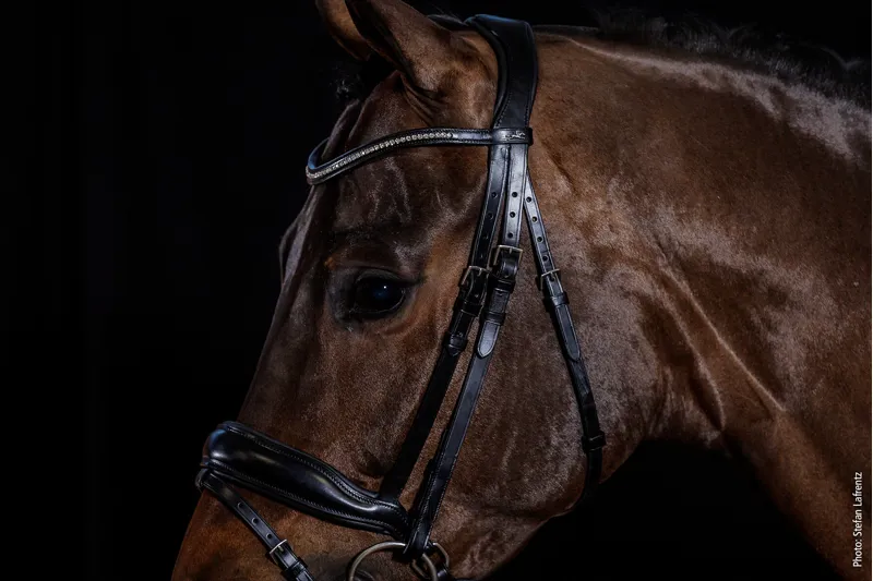 Schockemohle Stanford Wide Bridle Black-Silver 5 Schockemohle Stanford Wide Bridle Black-Silver - Image 3