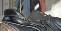 ThinLine Contour Basic Half Pad Black 7 ThinLine Contour Basic Half Pad Black -Equestrian Related 1170 595f1eeb8a8b33e87aaa0929e93f04fb