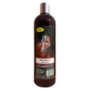 Smart Grooming Strawberry Shampoo 500ml Red -Equestrian Related 1179 4634d28dca596e74425843a964b1f4bf 2