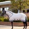 LeMieux Arika Armour-Tek Fly Rug 2 LeMieux Arika Armour-Tek Fly Rug -Equestrian Related 3n6a3875 copy 2