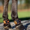 LeMieux Conductive Magno Pastern Wrap Black -Equestrian Related 3n6a8483 copy