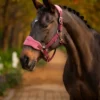 LeMieux Vogue Headcollar Orchid 2 LeMieux Vogue Headcollar Orchid -Equestrian Related 62ymtzIA