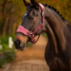 LeMieux Vogue Headcollar Orchid