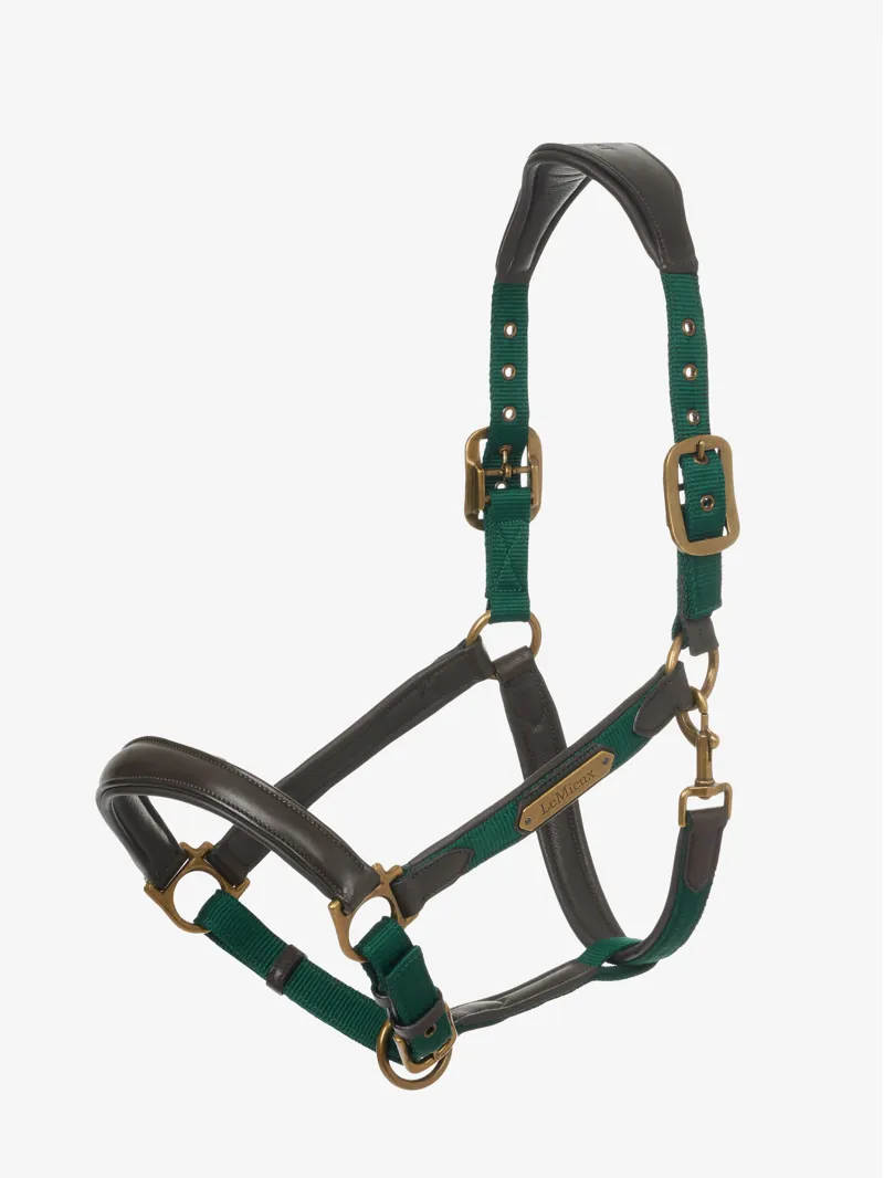LeMieux Capella Headcollar Spruce 3 LeMieux Capella Headcollar Spruce