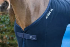 Equestrian Related -Equestrian Related A505202