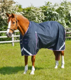 Premier Equine Buster 70g Turnout Rug With Classic Neck Cover Navy 10 Premier Equine Buster 70g Turnout Rug With Classic Neck Cover Navy -Equestrian Related AW21 Buster 70 Navy 3 2