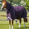 Premier Equine Buster 70g Turnout Rug With Classic Neck Cover Purple