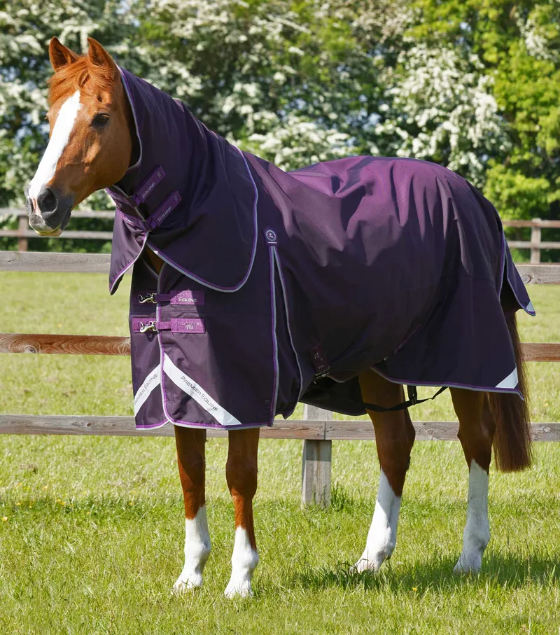 Premier Equine Buster 70g Turnout Rug With Classic Neck Cover Purple 3 Premier Equine Buster 70g Turnout Rug With Classic Neck Cover Purple