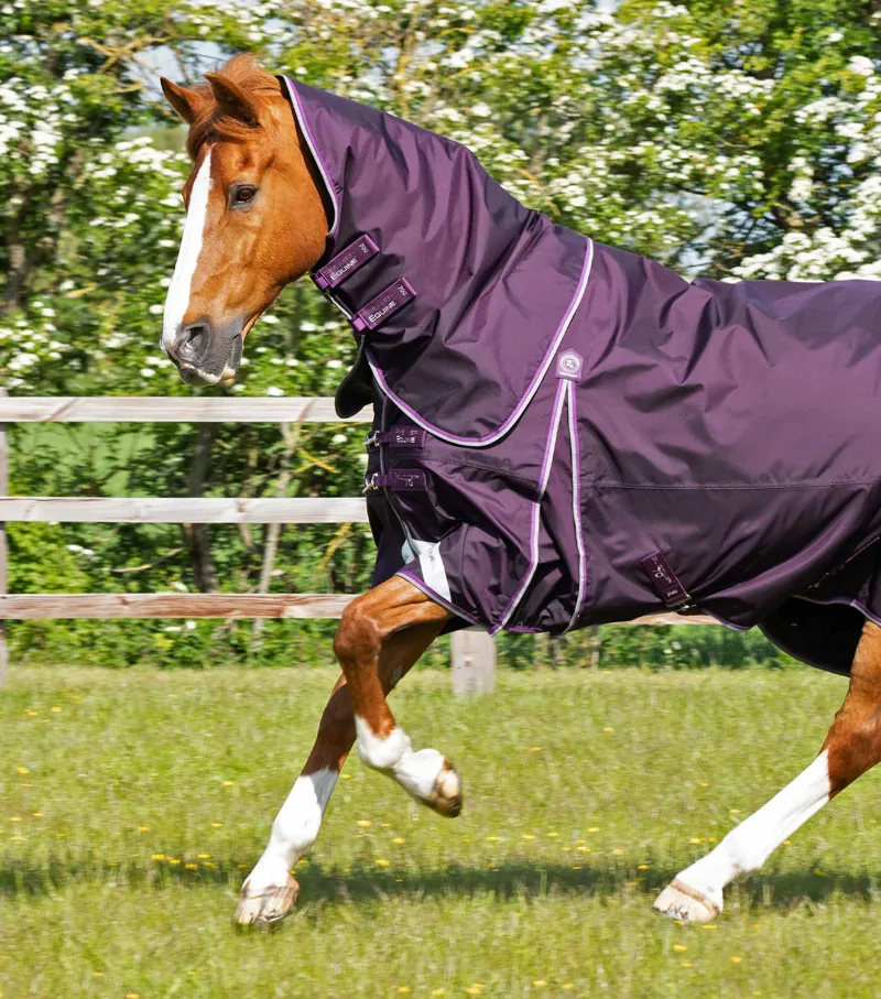 Premier Equine Buster 70g Turnout Rug With Classic Neck Cover Purple 4 Premier Equine Buster 70g Turnout Rug With Classic Neck Cover Purple - Image 2
