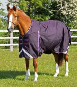 Premier Equine Buster 70g Turnout Rug With Classic Neck Cover Purple 11 Premier Equine Buster 70g Turnout Rug With Classic Neck Cover Purple -Equestrian Related AW21 Buster 70 Purple 3