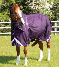 Premier Equine Buster 70g Turnout Rug With Classic Neck Cover Purple 15 Premier Equine Buster 70g Turnout Rug With Classic Neck Cover Purple -Equestrian Related AW21 Buster 70 Purple 7