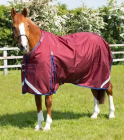Premier Equine Buster 40g Turnout With Classic Neck Cover Burgundy -Equestrian Related AW21 Buster40 Burgundy 3