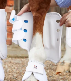 Premier Equine Air Cooled Original Eventing Front Boots White -Equestrian Related Air Cooled Original Eventing Boot Front White 3