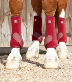 Premier Equine Air-Tech Sports Medicine Boots Burgundy -Equestrian Related Air Tech Sports Medicine Boots Burgundy 3