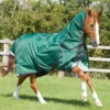 Premier Equine Akoni 0g Turnout With Classic Neck Cover Green -Equestrian Related Akoni Stratus 0g Green 1