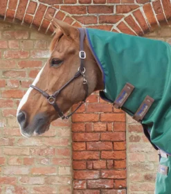 Premier Equine Akoni 0g Turnout With Classic Neck Cover Green -Equestrian Related Akoni Stratus 0g Green 2