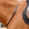 Premier Equine Altino Horse Neck Strap Black -Equestrian Related Altino Horse Neck Strap Black 1