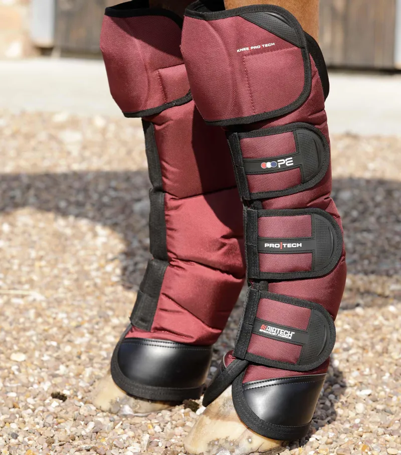 Premier Equine Ballistic Knee Pro-Tech Horse Travel Boots Burgundy 3 Premier Equine Ballistic Knee Pro-Tech Horse Travel Boots Burgundy
