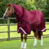 Premier Equine Titan 50g Turnout Rug With Classic Neck Cover Burgundy -Equestrian Related Burgundy shot 1