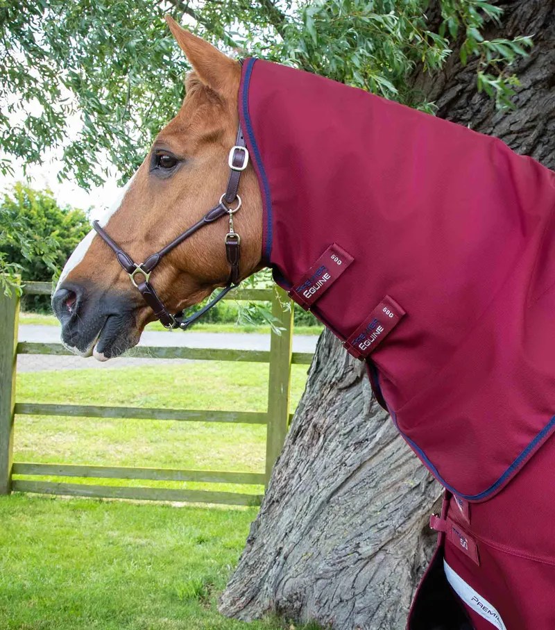 Premier Equine Titan 50g Turnout Rug With Classic Neck Cover Burgundy 4 Premier Equine Titan 50g Turnout Rug With Classic Neck Cover Burgundy - Image 2