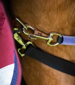 Premier Equine Titan 50g Turnout Rug With Classic Neck Cover Burgundy 12 Premier Equine Titan 50g Turnout Rug With Classic Neck Cover Burgundy -Equestrian Related Burgundy shot 5