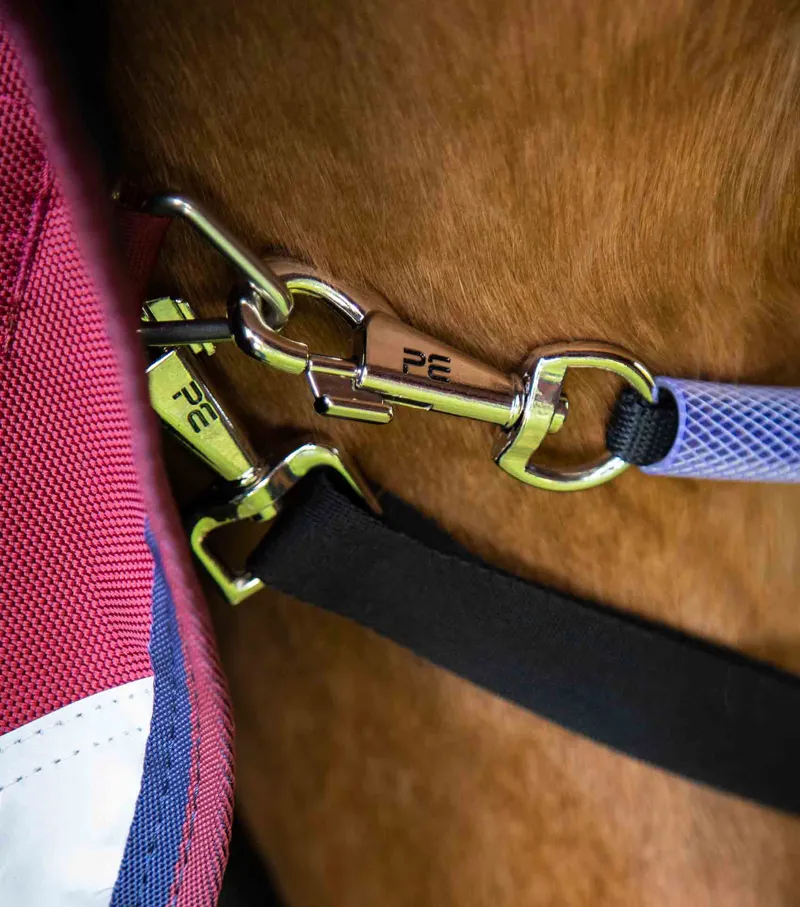 Premier Equine Titan 50g Turnout Rug With Classic Neck Cover Burgundy 7 Premier Equine Titan 50g Turnout Rug With Classic Neck Cover Burgundy - Image 5