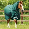 Premier Equine Buster 200g Turnout Rug With Snug-Fit Neck Cover Green -Equestrian Related Buster 200 Turnout Rug Green 1