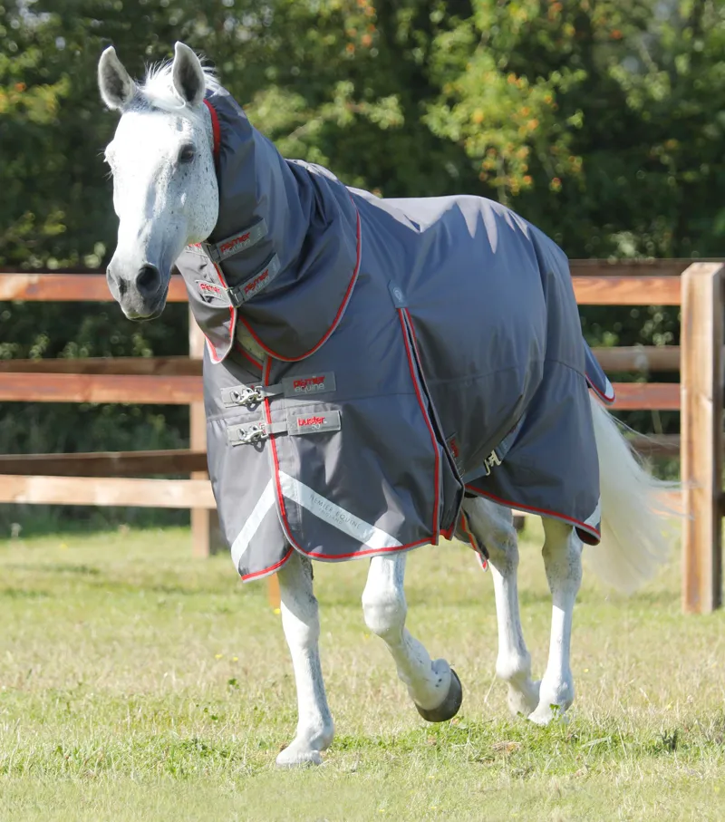 Premier Equine Buster 50g Turnout Rug With Snug-Fit Neck Cover Grey 3 Premier Equine Buster 50g Turnout Rug With Snug-Fit Neck Cover Grey