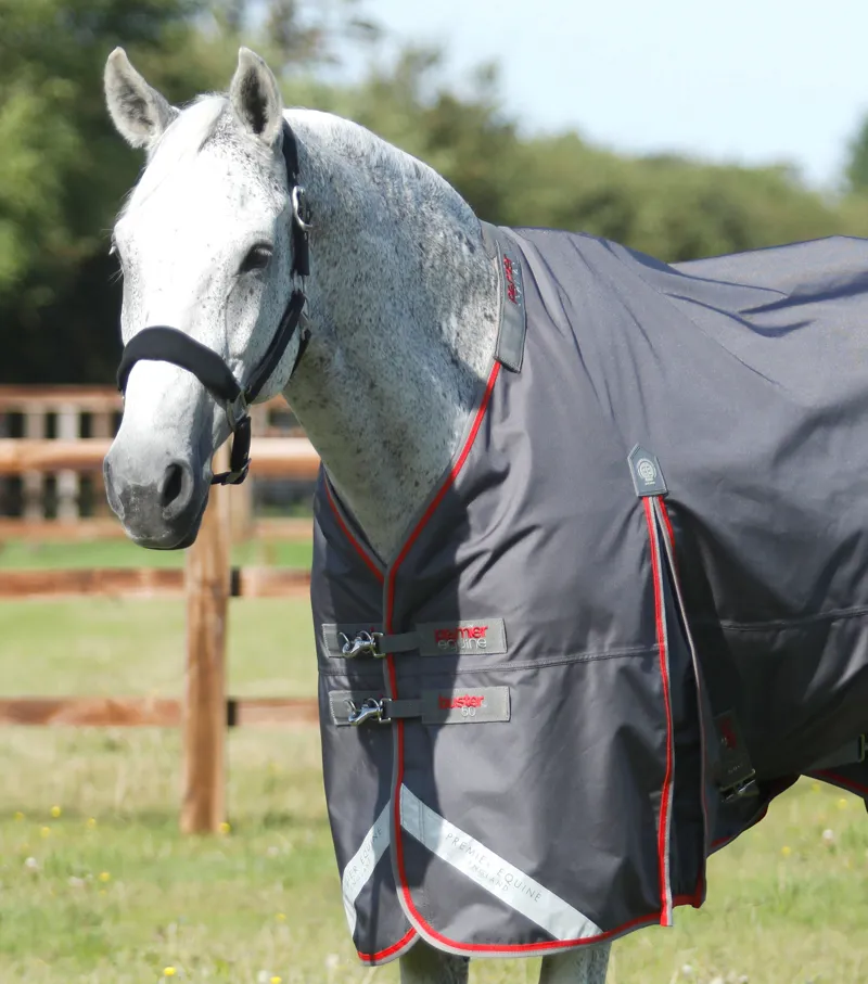 Premier Equine Buster 50g Turnout Rug With Snug-Fit Neck Cover Grey 4 Premier Equine Buster 50g Turnout Rug With Snug-Fit Neck Cover Grey - Image 2