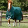 Premier Equine Buster Zero Original Turnout Rug Green 1 Premier Equine Buster Zero Original Turnout Rug Green -Equestrian Related Buster Zero Original Turnout Rug Green 1