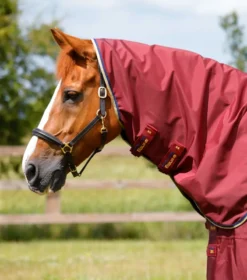 Premier Equine Buster Zero Turnout Rug With Classic Neck Cover Burgundy -Equestrian Related Buster Zero Turnout Rug Burgundy 3
