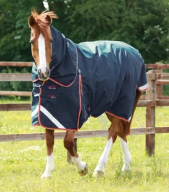 Premier Equine Buster Zero Turnout Rug With Classic Neck Cover Navy