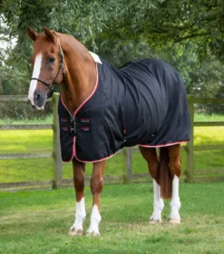 Premier Equine Buster Waffle Horse Cooler Rug Black