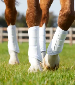 Premier Equine Carbon Air-Tech Single Locking Brushing Boots White 15 Premier Equine Carbon Air-Tech Single Locking Brushing Boots White -Equestrian Related Carbon Air Tech Single Locking Brushing Boot White 7