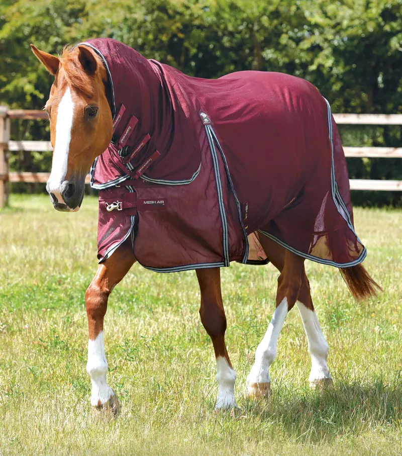 Premier Equine Combo Mesh Air Fly Rug With Surcingles Wine 3 Premier Equine Combo Mesh Air Fly Rug With Surcingles Wine