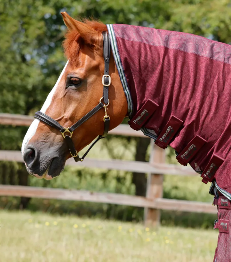 Premier Equine Combo Mesh Air Fly Rug With Surcingles Wine 4 Premier Equine Combo Mesh Air Fly Rug With Surcingles Wine - Image 2