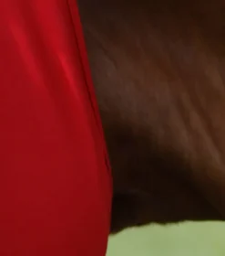 Premier Equine Comfort Tech Lycra Fly Mask Red 10 Premier Equine Comfort Tech Lycra Fly Mask Red -Equestrian Related Comfort Tech Lycra Fly Mask Red 3