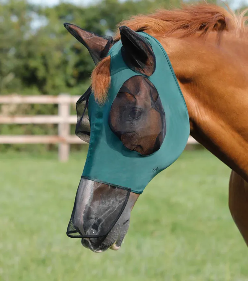Premier Equine Comfort Tech Xtra Lycra Fly Mask Green 3 Premier Equine Comfort Tech Xtra Lycra Fly Mask Green