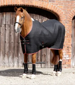 Premier Equine Dry-Tech Horse Cooler Rug Black