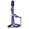 KM Elite Padded Headcollar In Purple 1 KM Elite Padded Headcollar In Purple -Equestrian Related EQUINE KMElite U PaddedHeadcollar Purple