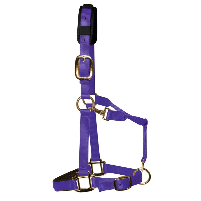 KM Elite Padded Headcollar In Purple 3 KM Elite Padded Headcollar In Purple