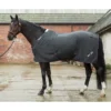 Mark Todd Coolex Cooler Rug In Grey/Plum -Equestrian Related EQUINE MarkTodd U CoolexCoolerRug GreyPlum