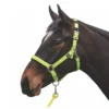 Mark Todd Deluxe Padded Headcollar W/Lead Rope In Fluorescent Yellow