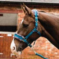 Mark Todd Fleece Lined Headcollar W/Lead Rope In Petrol/Grey