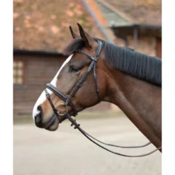 Mark Todd Padded Flash Bridle In Havana