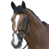 Mark Todd Padded Grackle Bridle In Havana -Equestrian Related EQUINE MarkTodd U PaddedGrackleBridle Havana