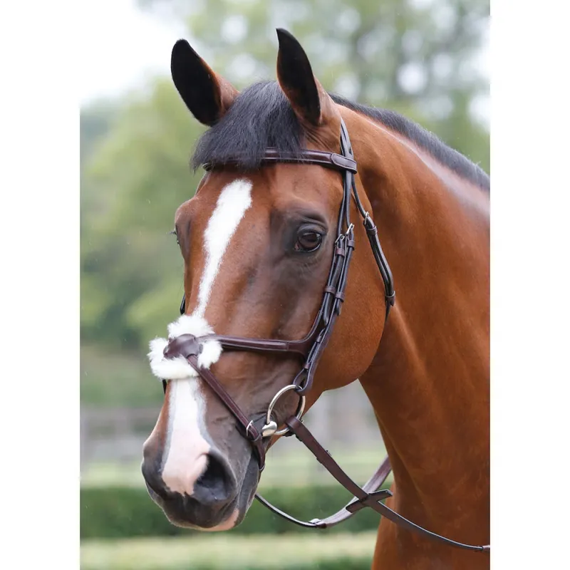 Mark Todd Performance Figure Of 8 Bridle In Havana 3 Mark Todd Performance Figure Of 8 Bridle In Havana