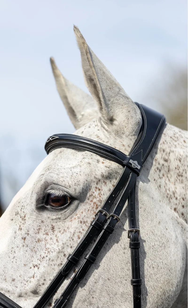 LeMieux Kudos Competition Flash Bridle Black 6 LeMieux Kudos Competition Flash Bridle Black - Image 4